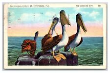Linen~St Petersburg Florida~Pelican Family picture