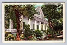 Natchez MS-Mississippi, Cottage Gardens, Antique, Vintage Postcard picture