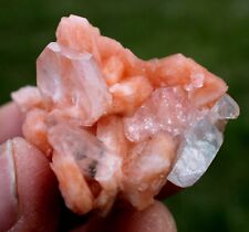 clear Apophyllite on orange Stilbite, minerals, crystals, mineral specimens picture