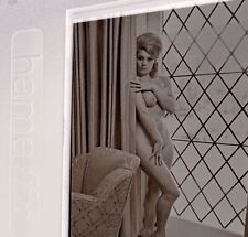 Vintage 1960s British Nude Pin Up Model Terri Martine  35mm Negative picture