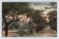 Postcard Texas Galveston TX Esplanade East Broadway Hand Colored 1916 Posted picture
