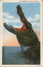 1940 I am Yawning for You in Panama-Alligator I.L. Maduro Jr. Postcard 1c stamp picture