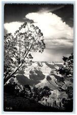 c1940's Grand Canyon River View South Rim Arizona AZ RPPC Photo Postcard picture
