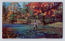 Postcard Iowa Alton IA Fishing Greeting Autumn Fall 1960s Unposted Chrome picture