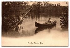 Antique On the Charles River, Woman in Canoe, MA Postcard picture
