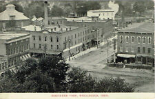Vintage Wellington Ohio Bird’s-Eye View B&W Postcard 1910 Postmark picture