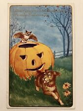 Halloween Postcard Whitney Puppy Dog Owl JOL Embossed Unposted Scarce picture