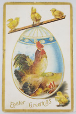 1909 Easter Greetings Blue Egg Hen Yellow Chicks Embossed Germany Made Postcard picture