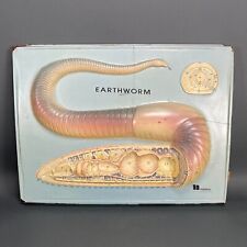 Vintage 1977 Hubbard Scientific 3D Plastic Earthworm Display Anatomy Chart Prop picture