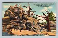 Brookfield IL-Illinois, Chicago Zoo Monkey Island Mountain Goats, Linen Postcard picture