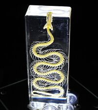 One 110mm Real Snake Skeleton in Clear Lucite Resin Science Education Specimen picture