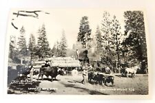 RPPC Logging With Oxen Horses Loggers Eastman's Studio c1950s Repro #324 picture