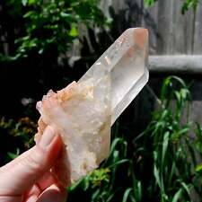 5.5in 355g Isis Face Pink Shadow Smoky Lemurian Seed Quartz Crystal Starbrary Cl picture