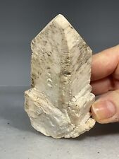 SS Rocks - Orthoclase Crystal (Blister Foot Deposit, Organ Mts, New Mexico) 127g picture