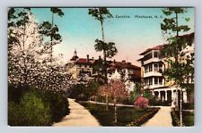Pinehurst NC-North Carolina, Panoramic Carolina, Advertising, Vintage Postcard picture