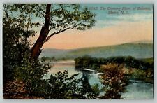 c 1910's The Chemung River Bohemia Elmira NY UDB Vintage postcard 9043 picture