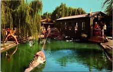 Postcard California Buena Park CA Knotts Berry Farm And Ghost TOWN picture