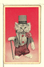 Single Vintage ID Named Cats, 