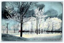 1914 City Park In Mid-Winter Trees Snow Cadillac Michigan MI Posted Postcard picture