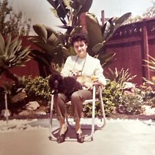 VINTAGE PHOTO 1970s Woman With Dogs, Chihuahua, Toy Poodle COLOR SNAPSHOT picture