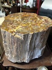 large petrified wood log From Utah picture