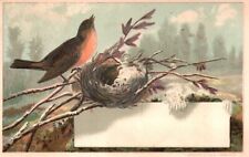 1880s-90s Bird on Tree Limb with Nest in Winter picture