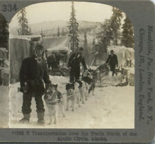 ALASKA, Transportaion Over Icy Trails-Stereoview Keystone 1920's 400 Set #334 picture