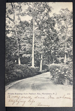 UDB Postcard Private Roadway Madison Ave. Morristown N.J.  c-1905 Postmark picture