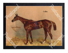 Historic 'Emblem' 1879 Horseracing Postcard picture