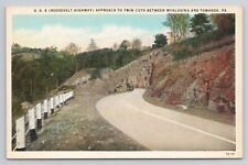 Postcard Roosevelt Highway Approach To Twin Cuts Between Wyalusing PA c1920 picture