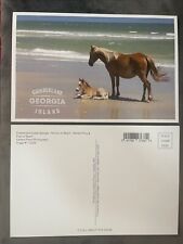 Lantern Press Postcard Cumberland Island, Georgia Horse Beach picture