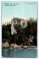 c1910's Arch Rock From Lake Huron Mackinac Island Michigan MI Antique Postcard picture