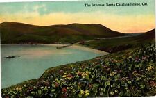 VTG Postcard- 32689. ISTHMUS SANTA CATALINA CA. UnPost 1910 picture