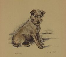 Jack Russell / Border Terrier - CUSTOM MATTED - Lucy Dawson Dog Art Print - NEW picture