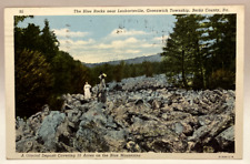 The Blue Rocks, Lenhartsville, Berks County, PA Pennsylvania Vintage Postcard picture