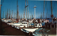 Boat Basin on Humboldt Bay Eureka CA Unposted Vintage Postcard c1960s picture