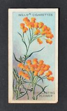 1913 Wills' Cigarette Card Australian Wildflowers No. 38 Everlasting Flower picture