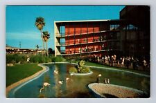 CA-California, Marineland of Pacific, Flamingo, Penguin Pool, Vintage Postcard picture