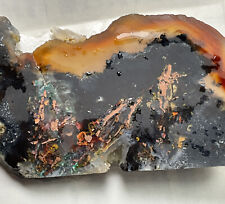 Chrysocolla Copper Petrified Wood Slab 37.2 Gr Indonesia Rare Beautiful Natural picture