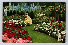 Newark NY-New York, Jackson & Perkins Co Garden, Advertising Vintage Postcard picture