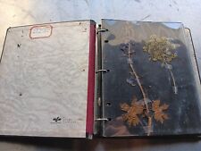 1960s Northern California Dried Plants Scrapbook picture