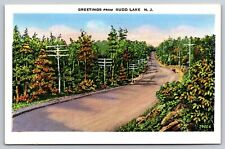 Postcard Greetings form Budd Lake New Jersey picture