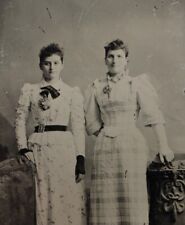 C.1890s Tintype 2 Beautiful Women W Victorian Dress & Fingerless Gloves D4082 picture