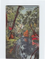 Postcard Picturesque View Along the Banks of a River in Florida USA picture