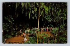 Kauai HI-Hawaii, Fern Grotto, Antique, Vintage c1970 Souvenir Postcard picture