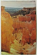 Bryce Canyon Utah Vintage View Postcard Unposted  picture