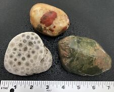3pc Michigan Rock & Fossil Sampler - Petoskey Stone, Puddingstone, Unakite 2 LBS picture