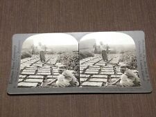 VINTAGE STEREOVIEW STEREOSCOPES CARD BRICK FACTORY NINEVEH MESOPOTAMIA picture