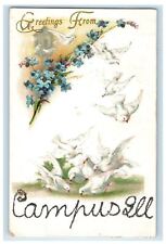 c1910 Doves and Flowers, Greetings from Campus Illinois IL Glitters Postcard picture