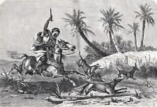 Dog Saluki Hunting Antelope, Horseman, Large 1860s Antique Engraving Print picture